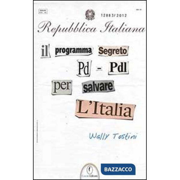 Programma segreto PD-PDL per salvare l'Italia (Il)