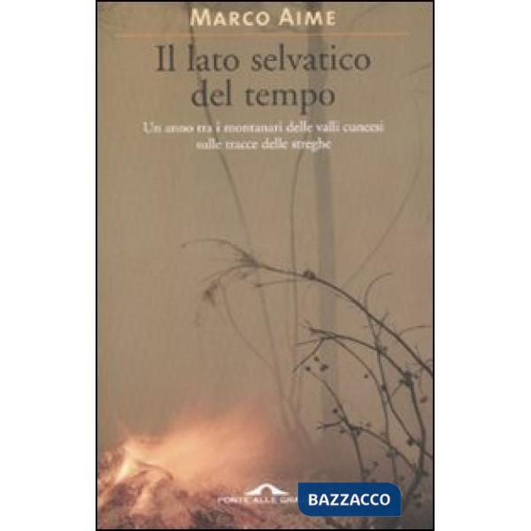 Lato selvatico del tempo (Il)