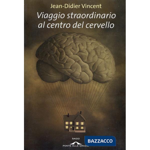 Viaggio straordinario al centro del cervello