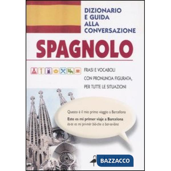 Spagnolo. Dizionario e guida alla conversazione