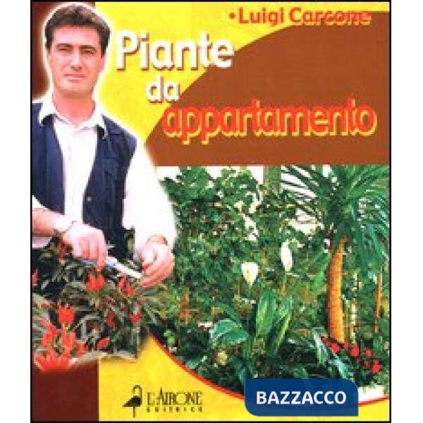 Piante da appartamento