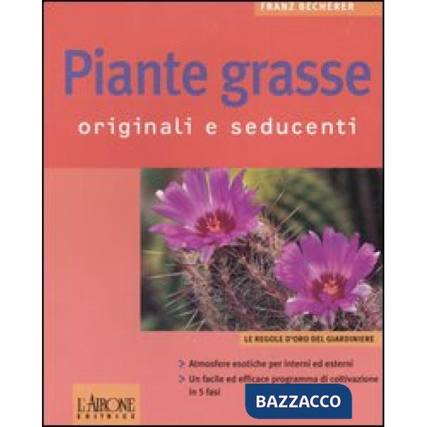 Piante grasse. Originali e seducenti