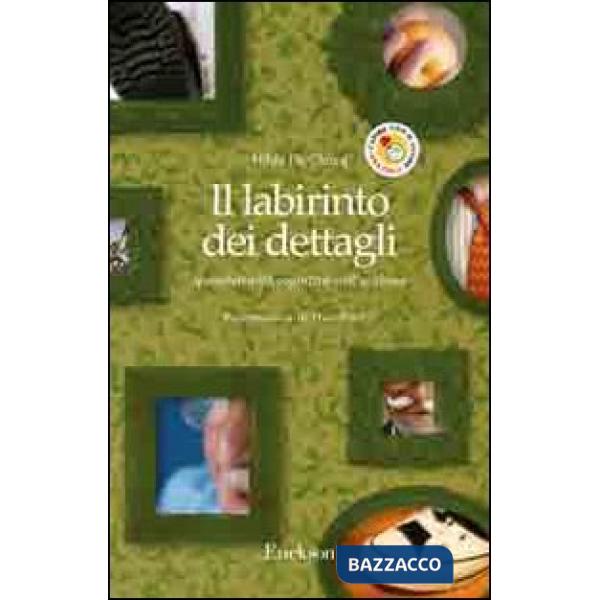 Labirinto dei dettagli. Iperselettività cognitiva nell'autismo (Il)