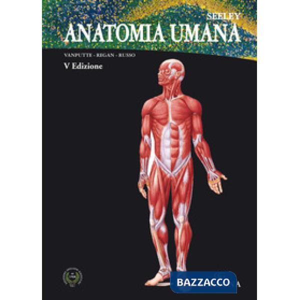 Anatomia umana