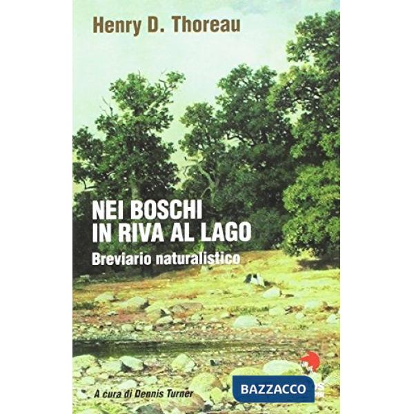 Nei boschi in riva al lago