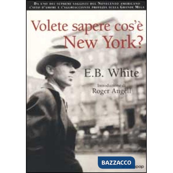 Volete sapere cos'è New York?