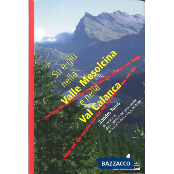 Su e giù nella valle Mesolcina e nella valle Calanca. 45 escursioni alla scopert