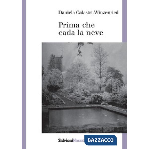 Prima che cada la neve