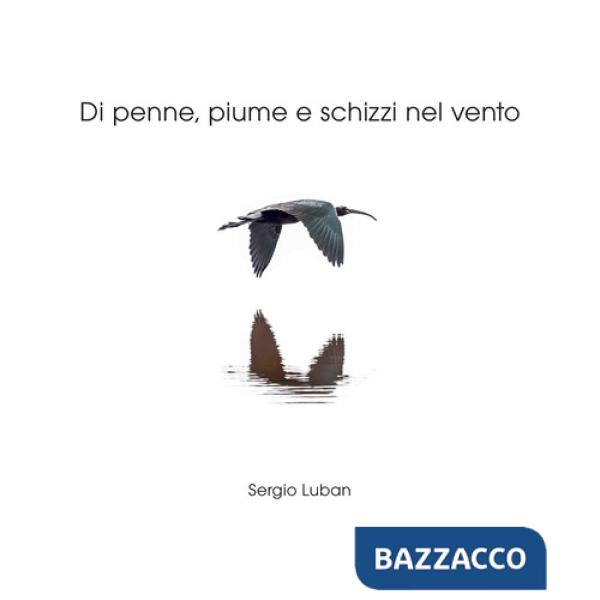 Di penne, piume e schizzi nel vento. Ediz. illustrata
