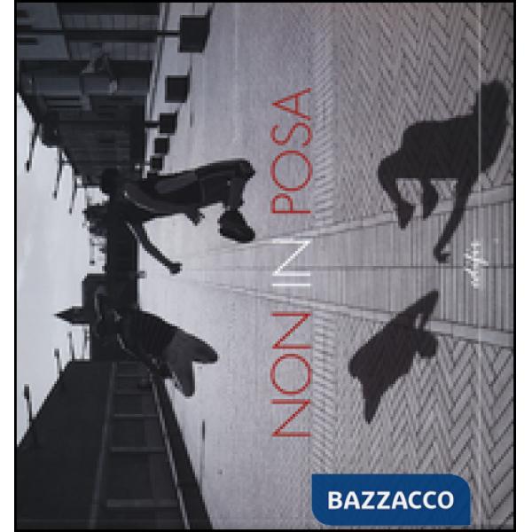 Non in posa-Right/Wrong. Paesaggio/Fotografia. Ediz. italiana e inglese