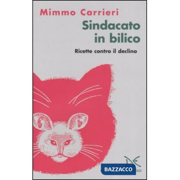 Sindacato in bilico. Ricette contro il declino