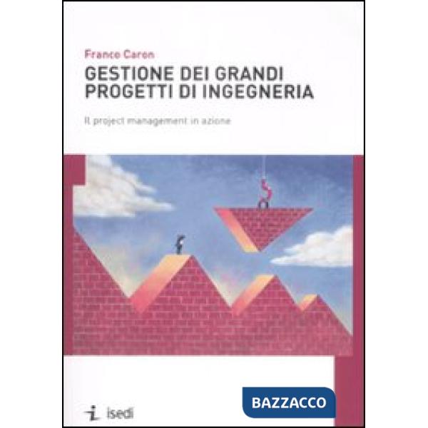 Gestione dei grandi progetti di ingegneria. Il project management in azione