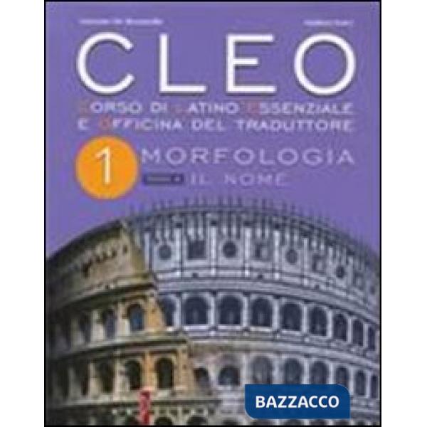 CLEO I
