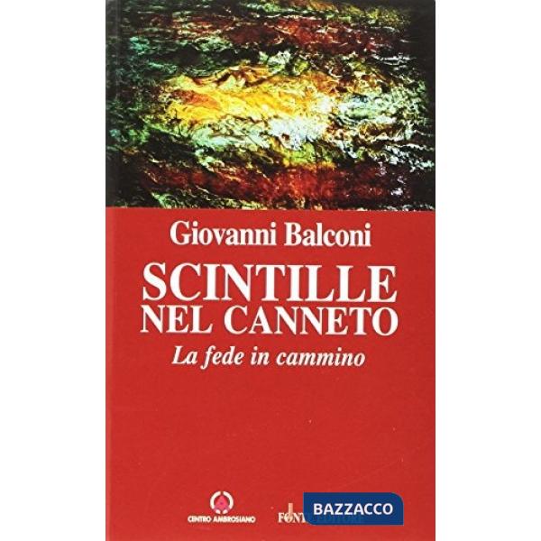 Scintille nel canneto. La fede in cammino