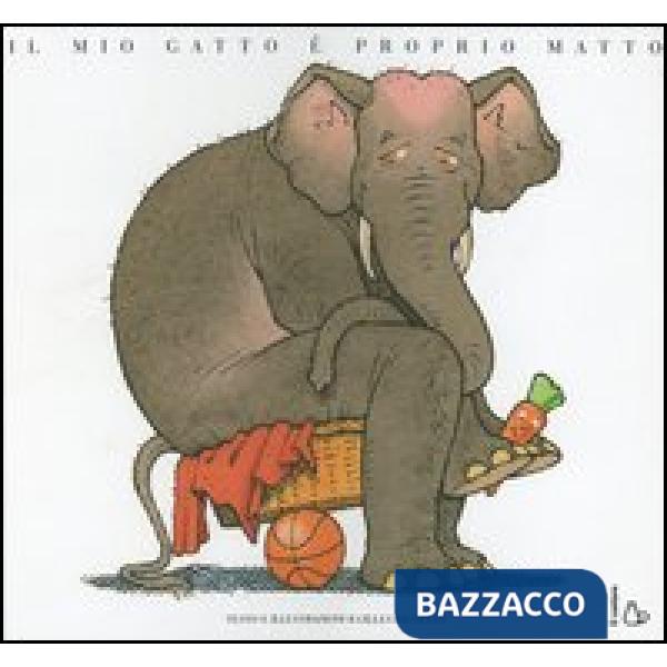 Mio gatto è proprio matto (Il)