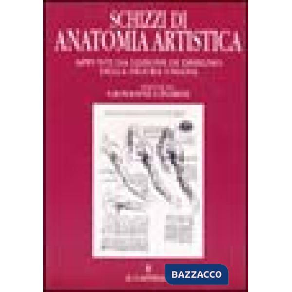 Schizzi di anatomia. Appunti da lezioni di disegno della figura umana