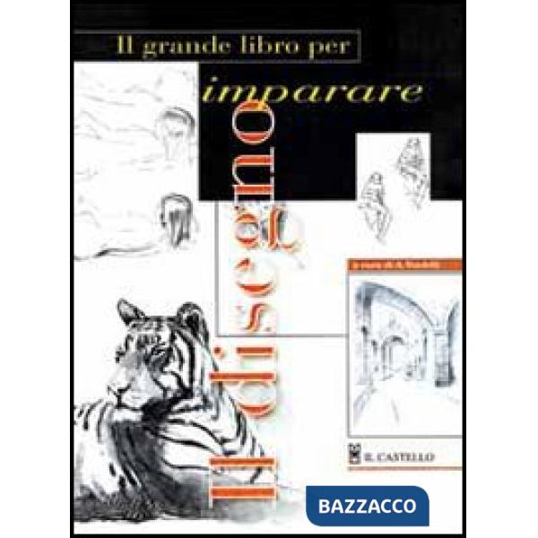 Grande libro per imparare il disegno (Il)