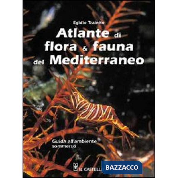 Atlante di flora & fauna del Mediterraneo