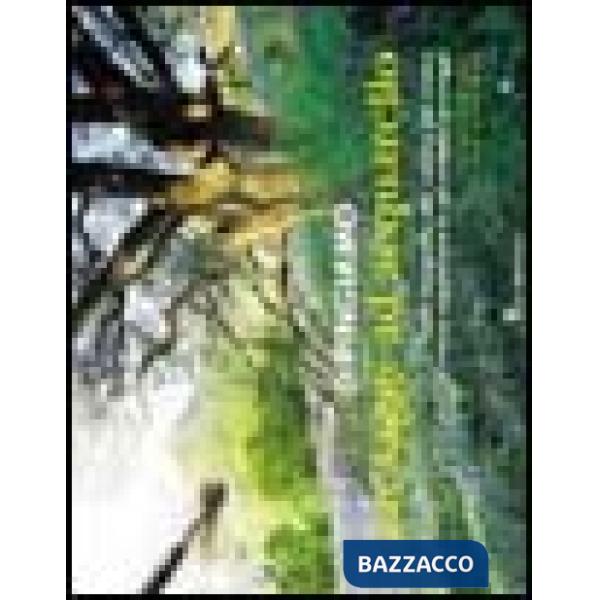 Dipingiamo paesaggi ad acquarello