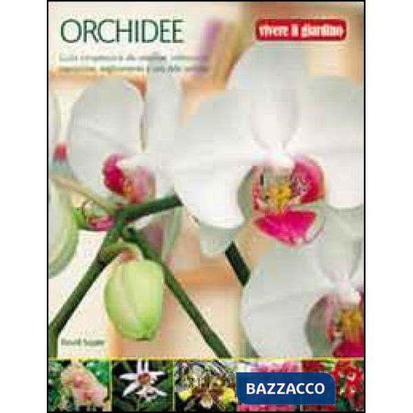 Orchidee. Ediz. illustrata