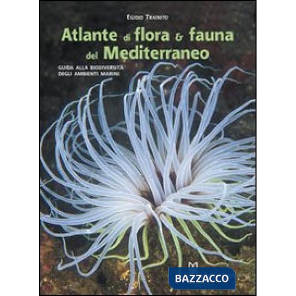 Atlante di flora & fauna del Mediterraneo. Ediz. illustrata