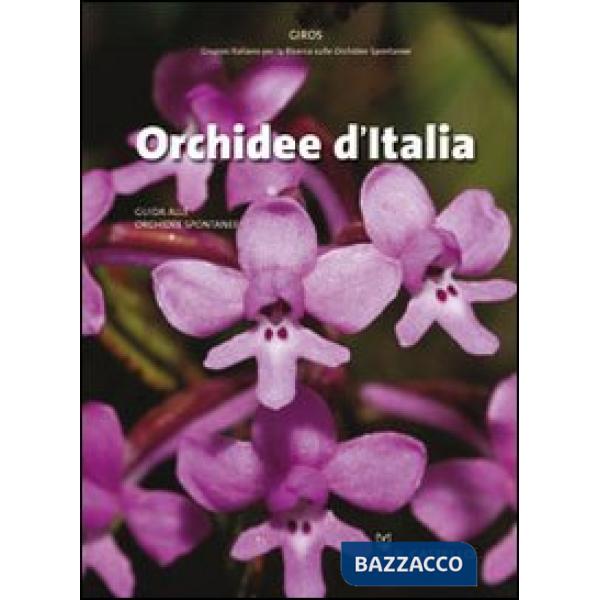 Orchidee d'Italia. Ediz. illustrata