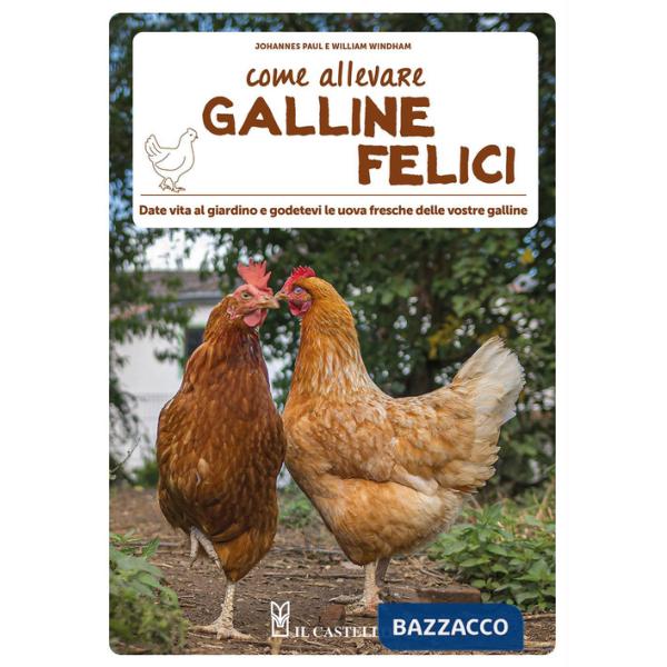 Come allevare galline felici