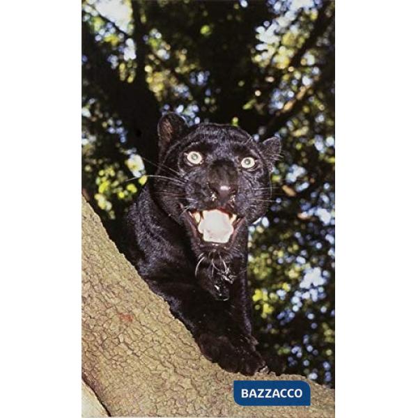 Cicoria. Ediz. italiana e inglese