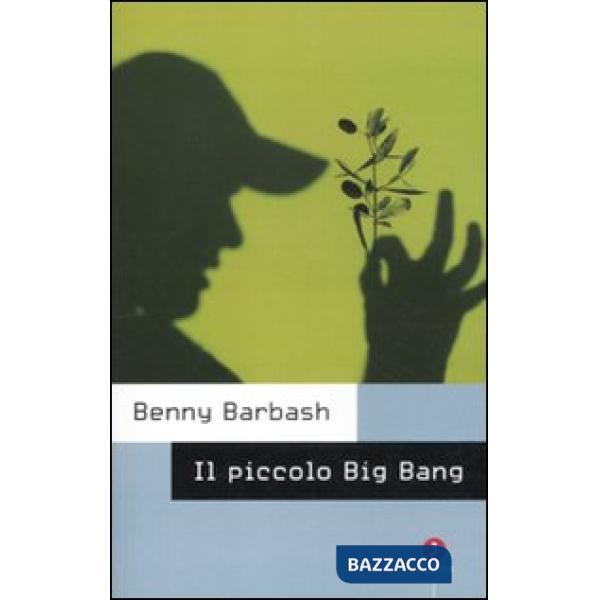 Piccolo Big Bang (Il)