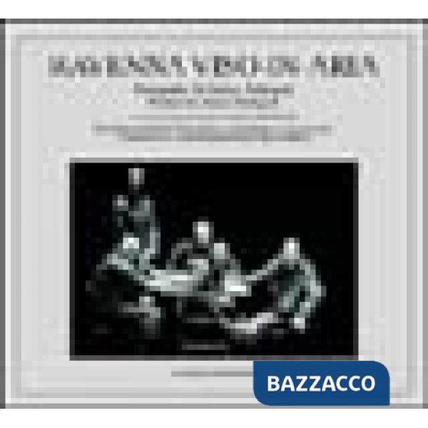 Ravenna viso-in-aria. Fotografie di Enrico Fedrigoli