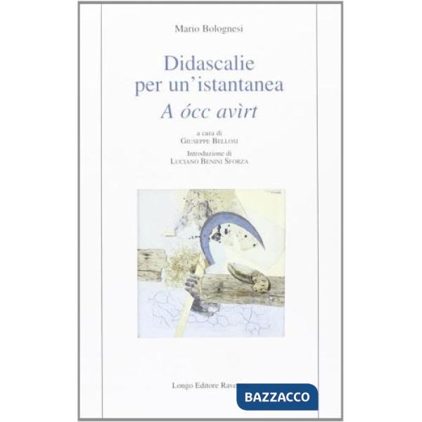 Didascalie per un'istantanea. A occ avìrt