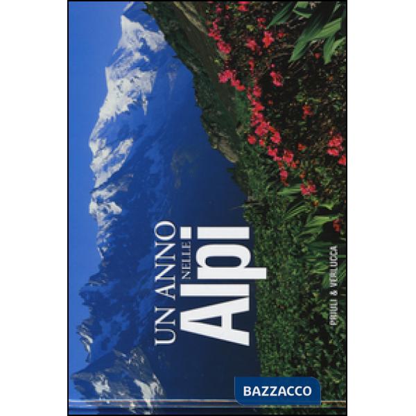 Anno nelle Alpi (Un)
