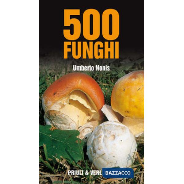 500 funghi