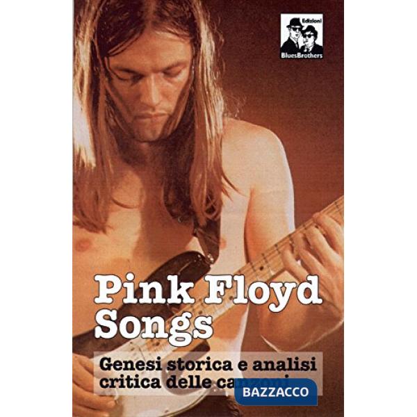 Pink Floyd Songs. Genesi storica e analisi critica delle canzoni
