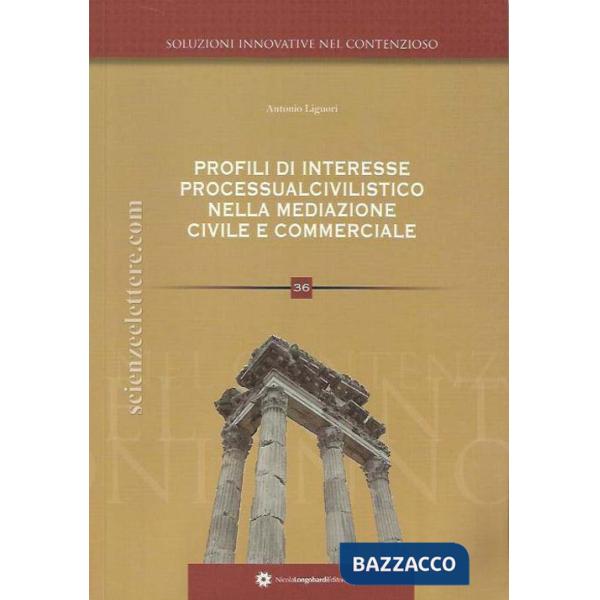 Profili di interesse processualcivilistico nella disciplina della mediazione civ