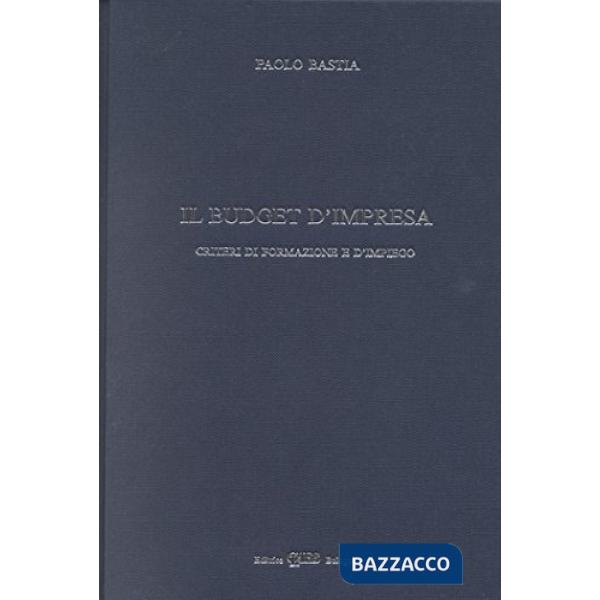 Budget d'impresa. Criteri di formazione e di impiego (Il)