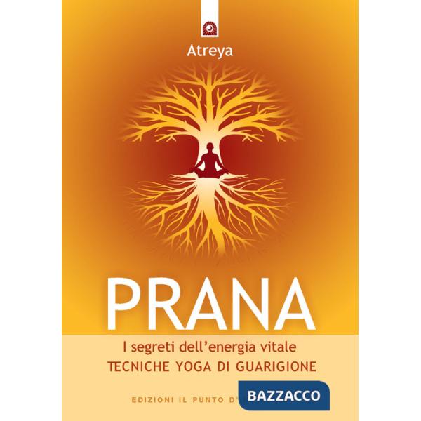 Prana. I segreti dell'energia vitale