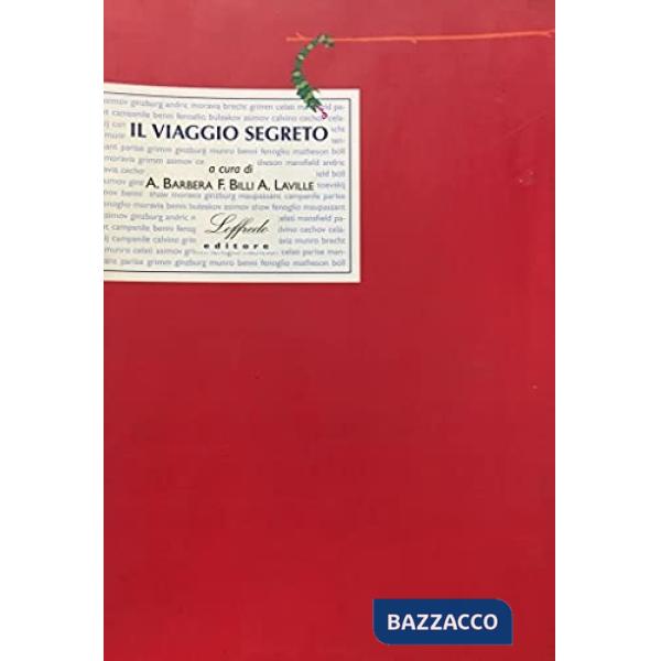 VIAGGIO SEGRETO (IL)