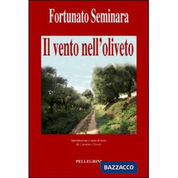 Vento nell'oliveto (Il)