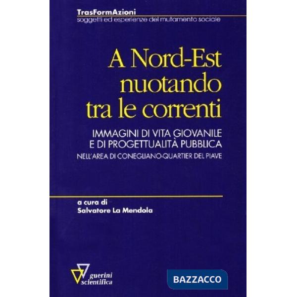 A nord-est nuotando tra le correnti. Immagini di vita giovanile e di progettualità pubblica nell'area di Conegliano-Quartier del