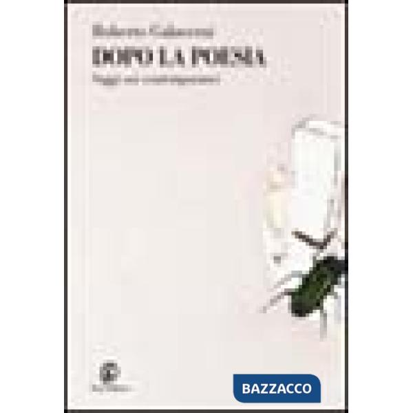 Dopo la poesia. Saggi sui contemporanei