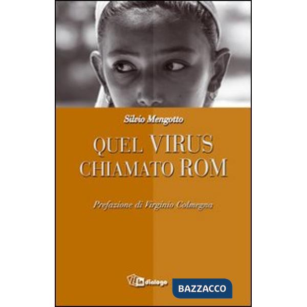 Quel virus chiamato rom