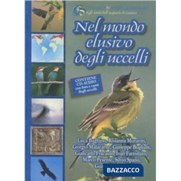 Nel mondo elusivo degli uccelli. Con CD-ROM