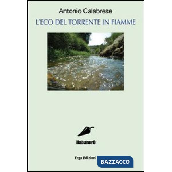 Eco del torrente in fiamme (L')