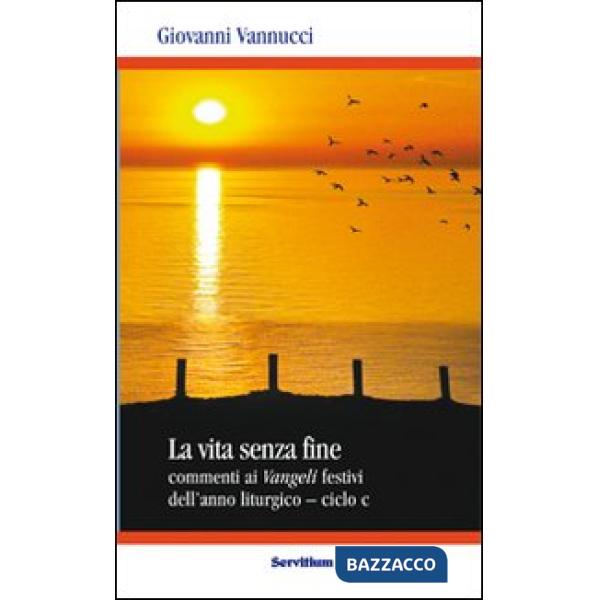 Vita senza fine. Commenti ai Vangeli festivi dell'anno liturgico. Ciclo C (La)