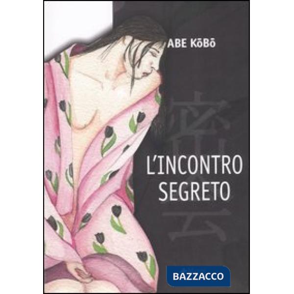 Incontro segreto (L')