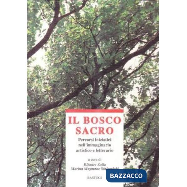 Bosco sacro. Percorsi iniziatici nell'immaginario artistico e letterario (Il)