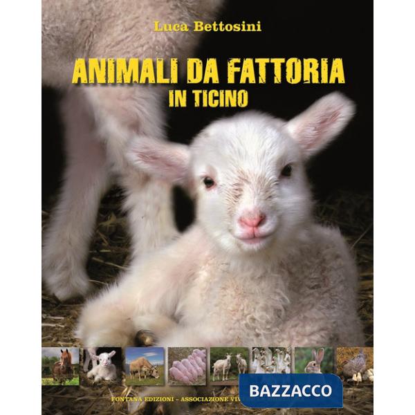 Animali da fattoria in Ticino