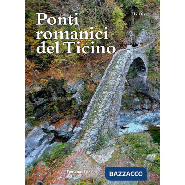 Ponti romanici del Ticino