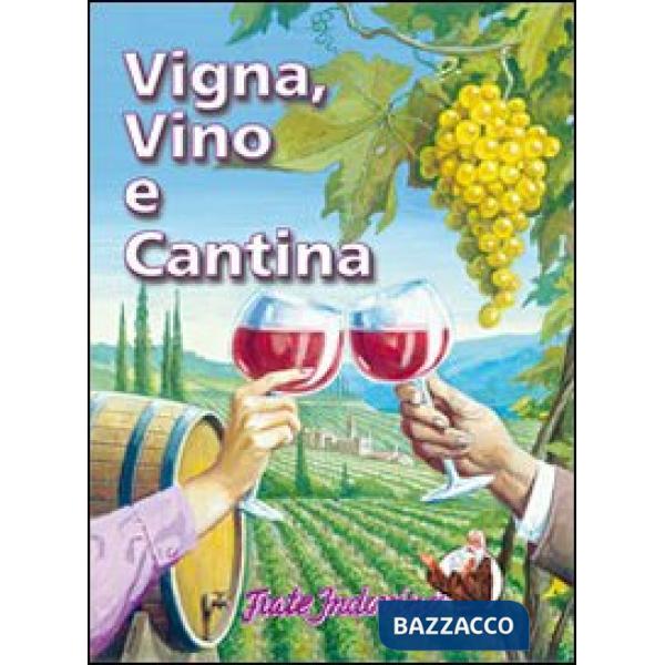 Vigna, vino e cantina